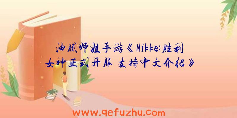 油腻师姐手游《Nikke:胜利女神正式开服